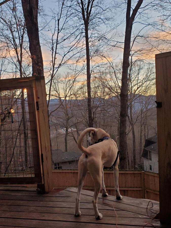 Вілла Treehouse Cathedral In Blue Ridge Mountains, Nc Burnsville Екстер'єр фото